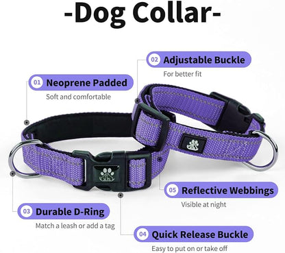 IVY&LANE Reflective Dog Collar and Leash Set,Adjustable Neoprene Padded Dog Collars for Puppy, Breathable Nylon Pet Collar for Small Medium Large Dogs (Medium,Purple)