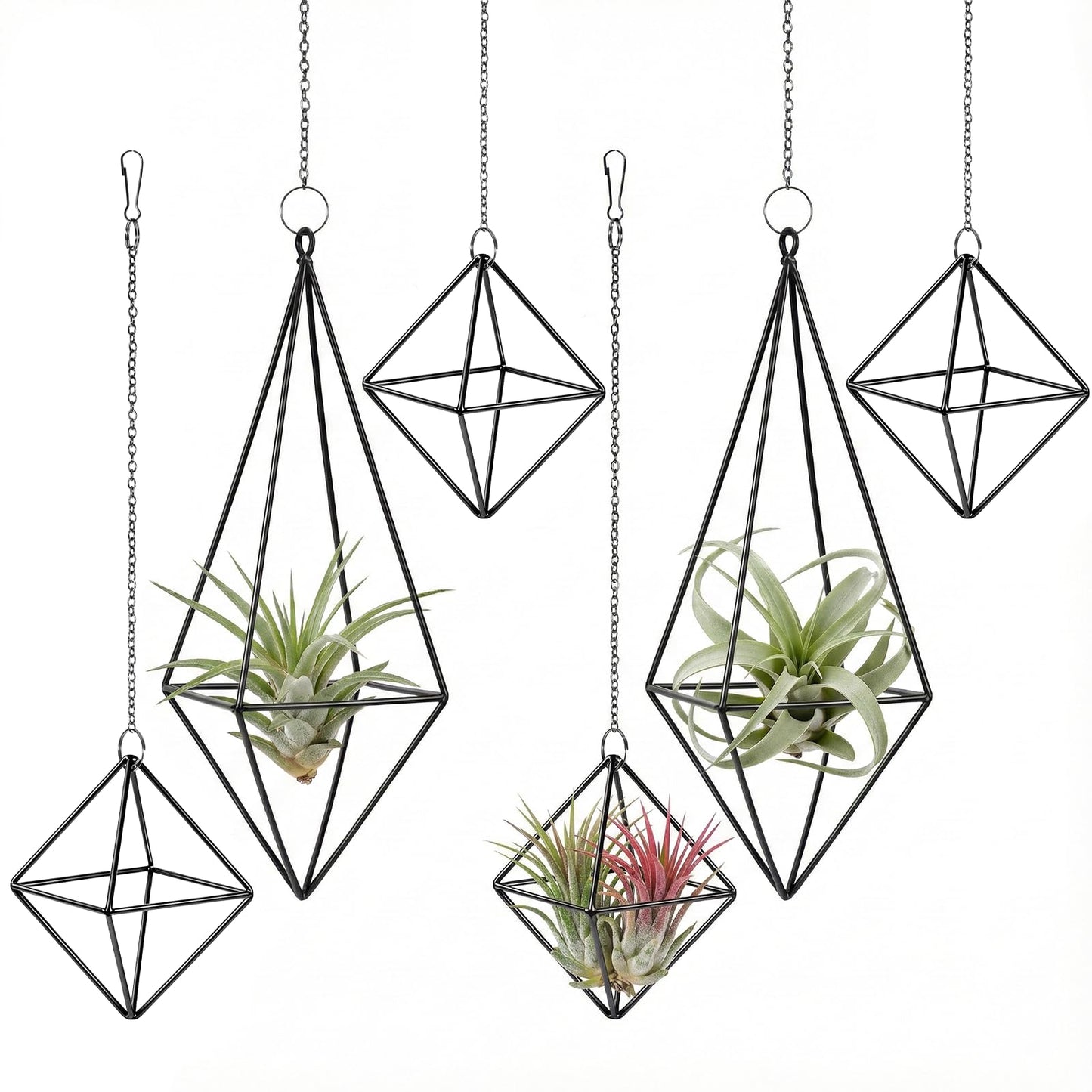 Yuanan 6 PCS Air Plant Hanger, Air Plant Holder Geometric Metal Airplant Holder Hanging Tillandsia with Chains, Home Decor, Balcony Planting and DIY Art for Small Indoor Plants-2 Size