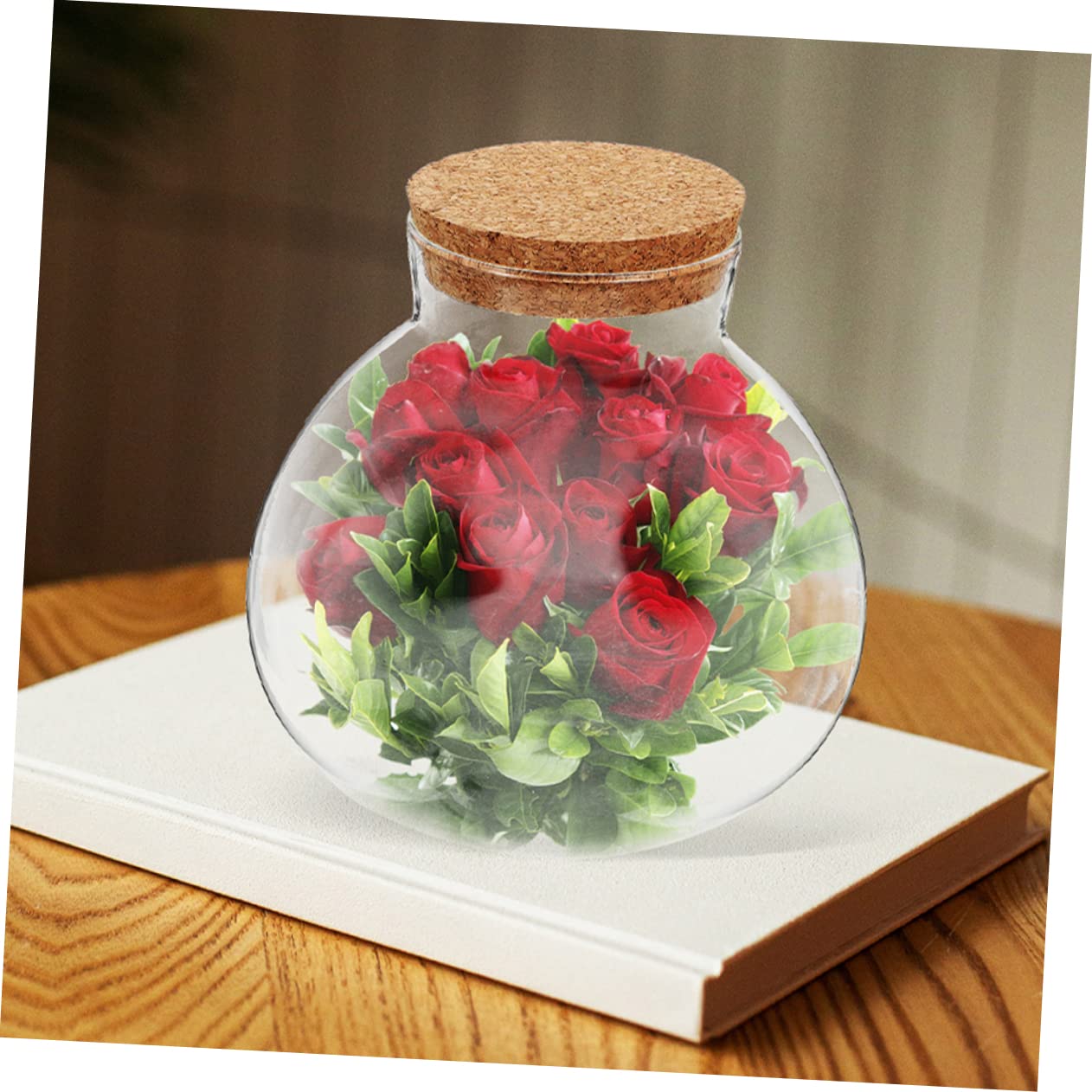 HYTROVE Terrarium Plant Decor Holder Glass Jar Moss Plant Bottle Micro Landscape Planter Bottle DIY Cork Glass Eco for Home Decor