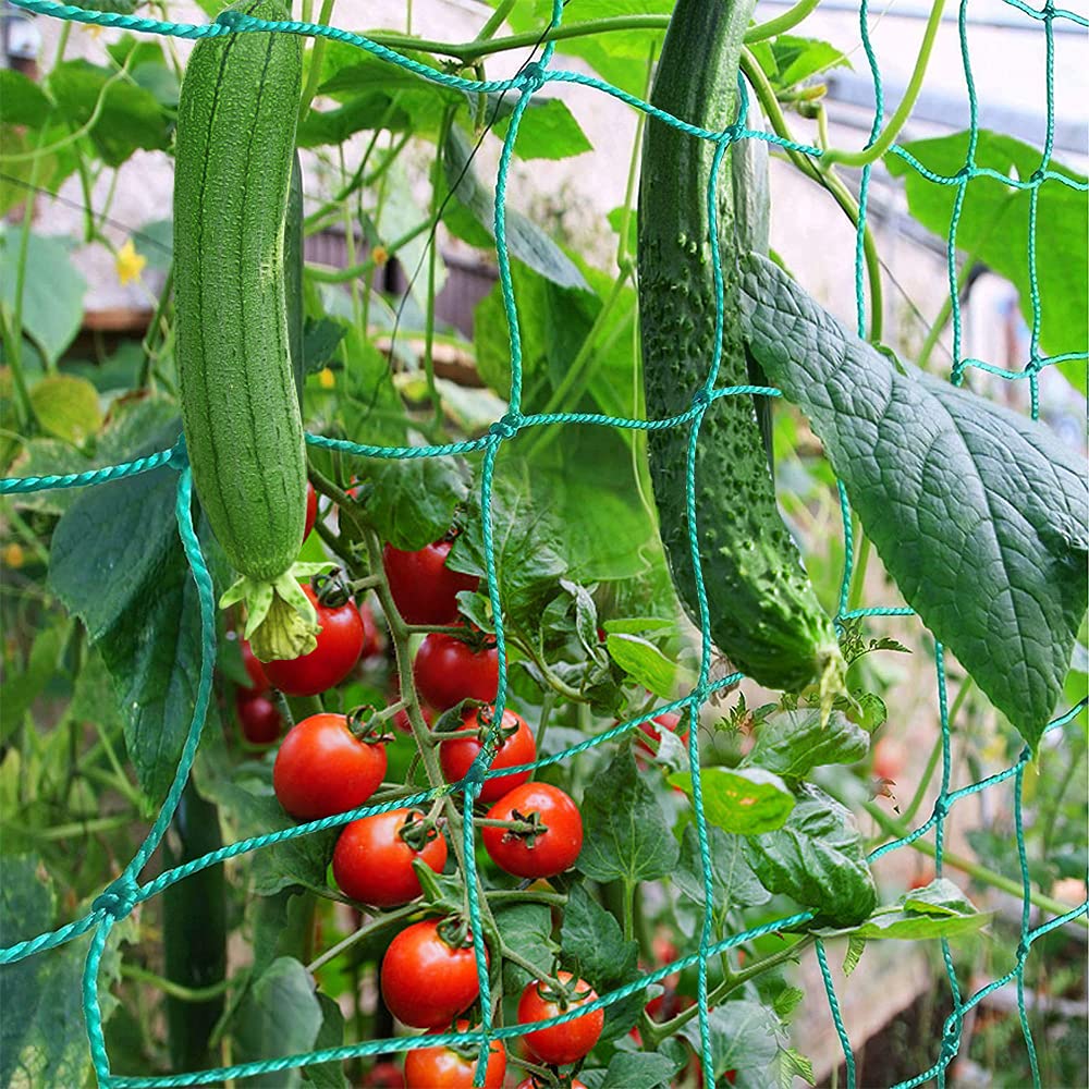 Trellis Netting, PDGROW Climbing Plant Support Net Garden Pea Bean Neting, Heavy-Duty PE Trellis Net for Cucumber, Tomato, Vegetables, Fruits, Sweet Pea Plants (6.6' x 16.4'Ft)