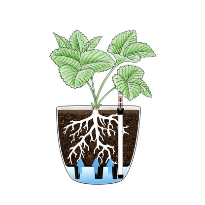 T4U 6 Inch Plastic Self Watering Planter with Water Level Indicator White Set of 4, Modern Decorative Planter Pot for All House Plants, Flowers, Herbs, African Violets, Succulents