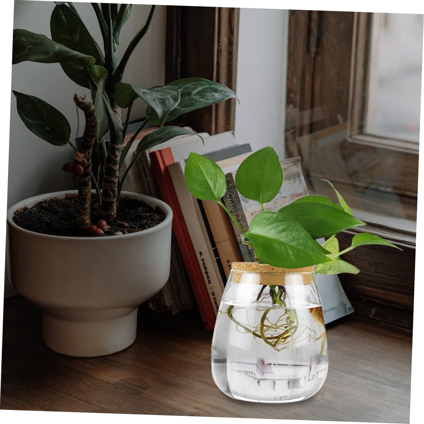 MAGICLULU 2pcs Glass Plant Terrarium Holder for Desktop Decor Moss Plant Bottle for Indoor Greenery Transparent Watering for