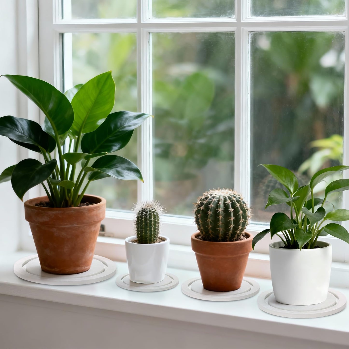 Johamoo Plant Saucer for Indoors, 2 Pack 8 Inch, Instantly Dry Diatomaceous Earth Plant Trays, Stone Plant Pot Saucers Drip & Drainage Tray, Women’s Gifts for Valentine, White