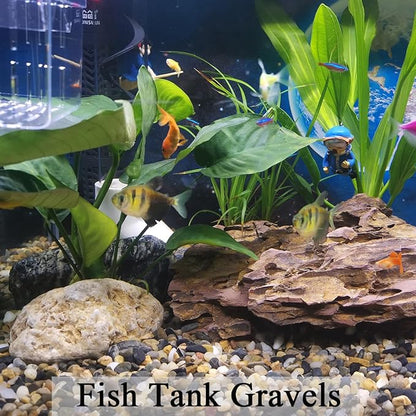 FANTIAN 10 lbs Pea Gravel for Landscaping,1/4 Inch Aquarium Gravel. Decorative River Rocks for Fish Tank Succulent Vase Cactus Bonsai Plant Soil Cover and Outdoor Landscaping Rocks