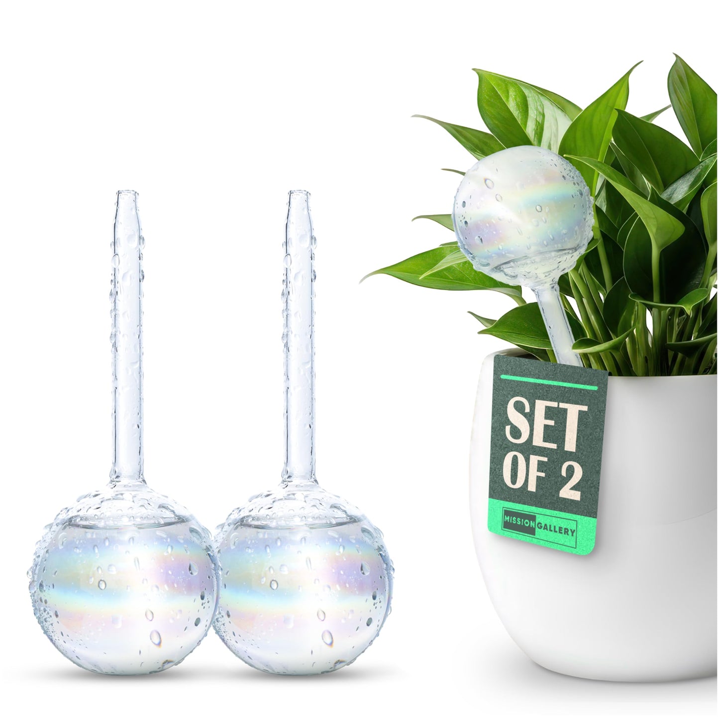 Mission Gallery Clear Plant Watering Globes Set of 2 - Small Self Watering Globes for Indoor & Outdoor Plants - Automatic Glass Watering Bulbs for Daily Use, Plant Watering Devices