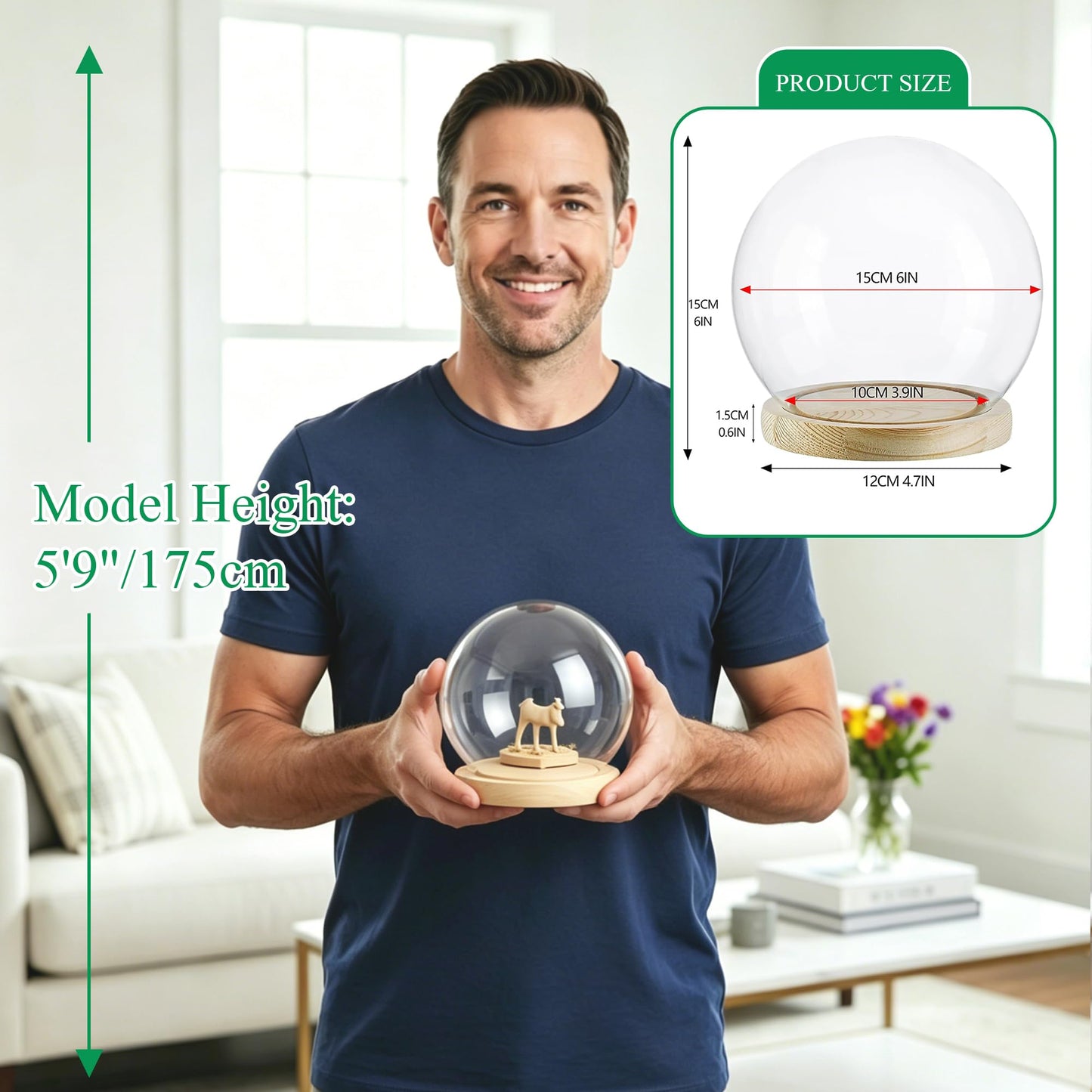 ZEERSHEE Round Globe Cloche Glass Dome with Wooden Base, 6" Glass Display Dome for Succulents, Plants & Keepsakes, Decorative Sphere Cloche Bell Jar for Collectibles & Home Decor