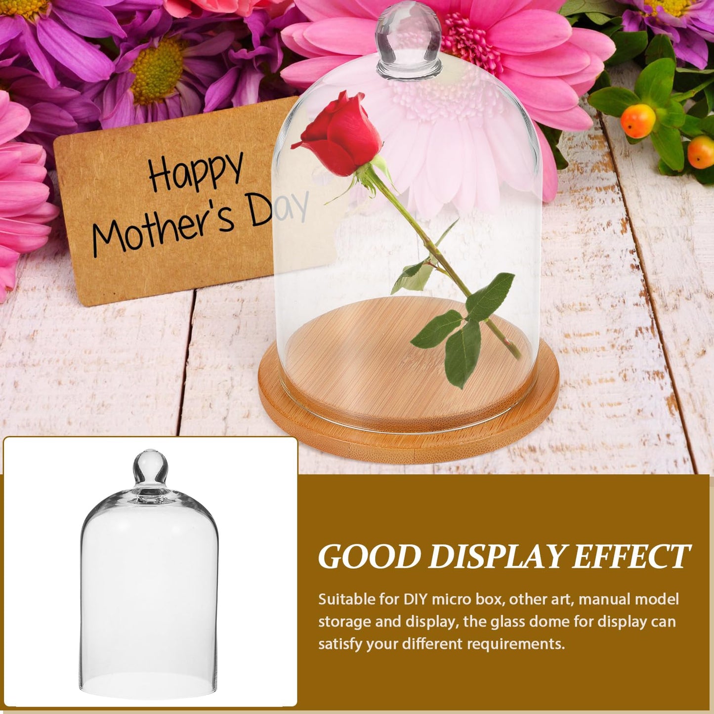 POPETPOP Glass Cloche Dome Bell Jar Display Case 9"" Clear Glass – Space-Saving for Shelf or Desk Display – for Plants, Collectible Figures, Candle Decor, Terrariums