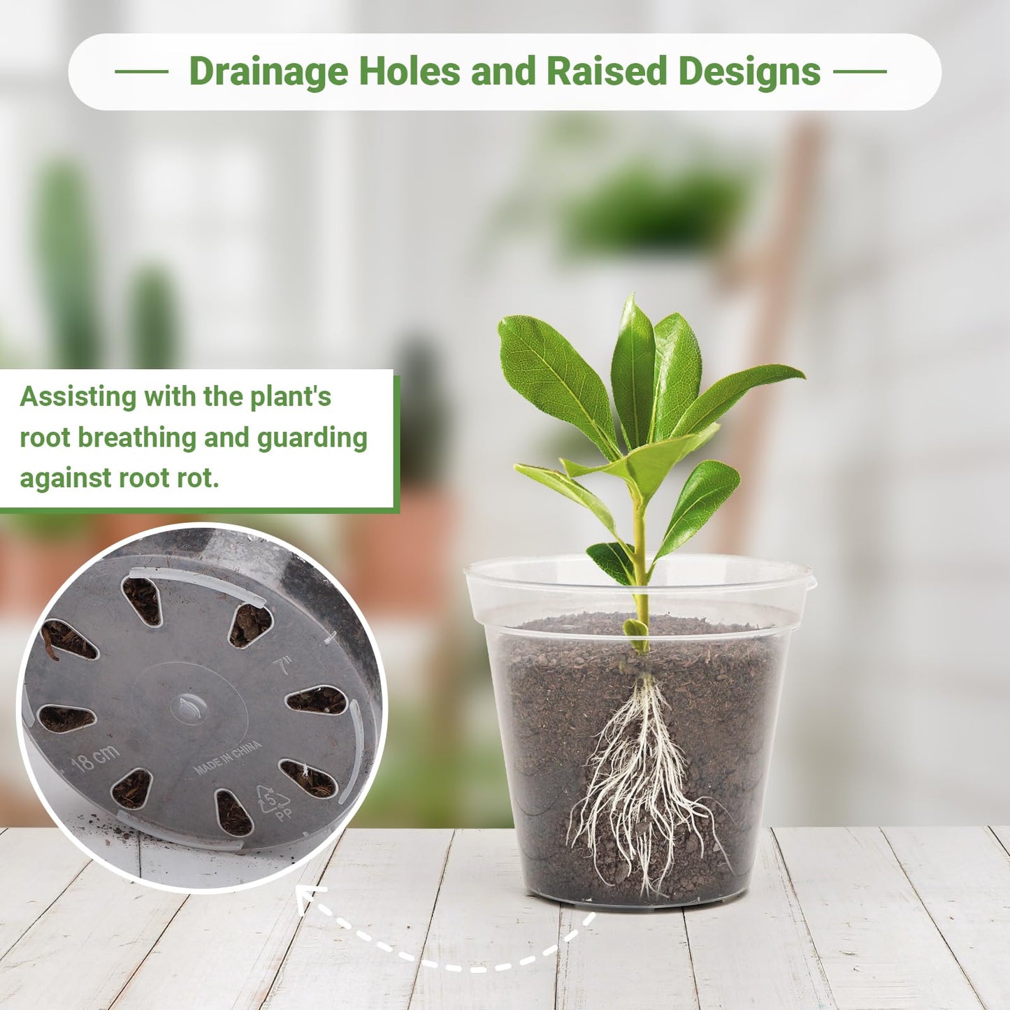 GREANER 7 Inch Transparent Plastic Garden Pots, 6 Inch Black Plant Pot Holders, 15 PCS Clear Plant Pots with Drainage Holes, 6 PCS Wall Mounted Pot Hook Bracket for Balcony, Home, Garden, Yard