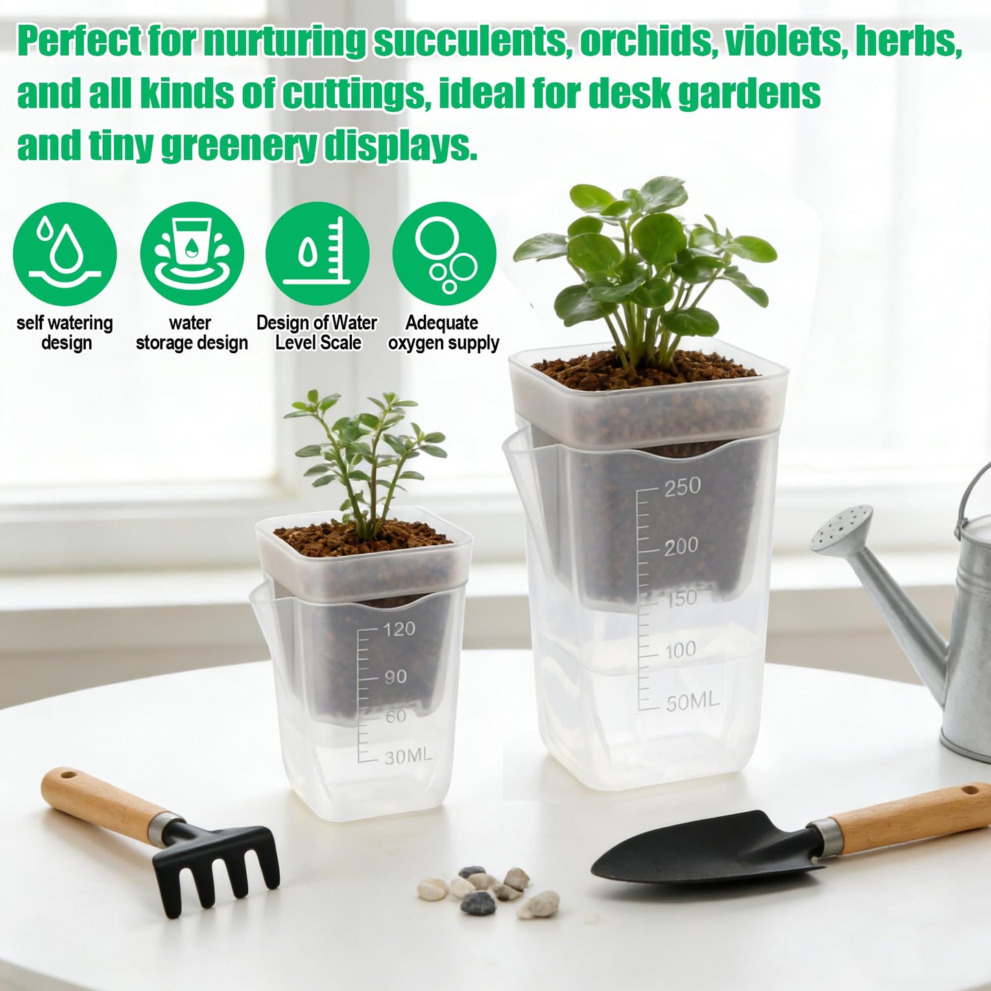 Windspeed 6+6P Mini Clear Self Watering Pots with Indicator 2.5 in 2 in Semi Clear Hydroponic Pots for Indoor Small Plants, Mini Self Watering Planters with Water Level Markings, Drainage Hole