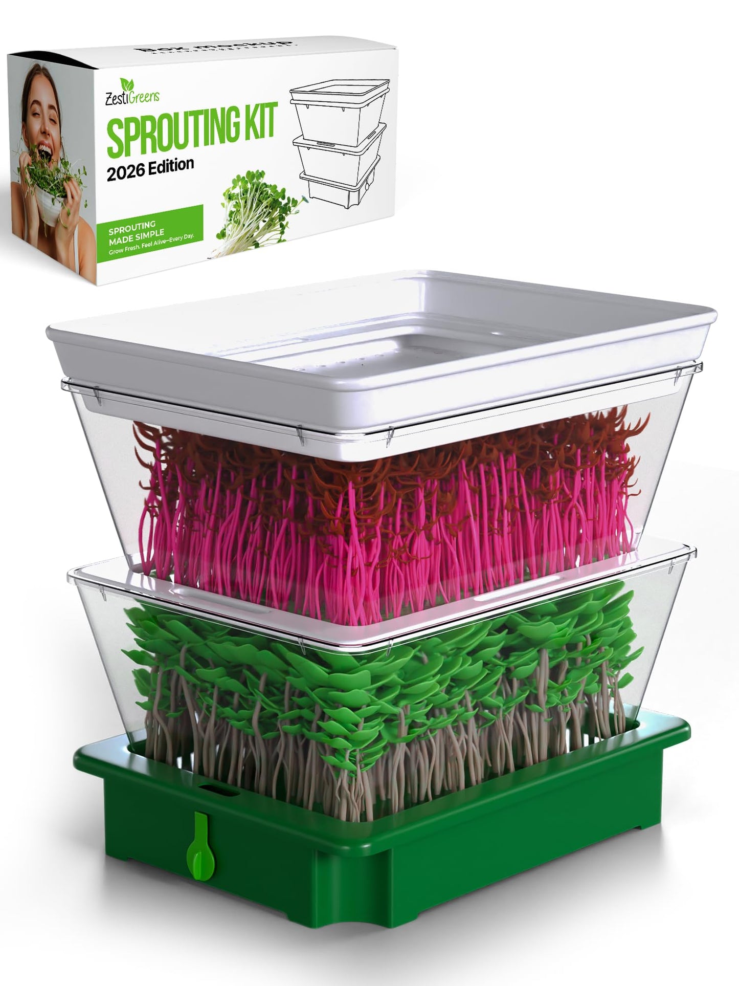 ZESTIGREENS 2-Tier Sprouting Kit - Stackable Seed Sprouter Trays with Drain Spout - Grow Fresh Sprouts at Home - BPA-Free
