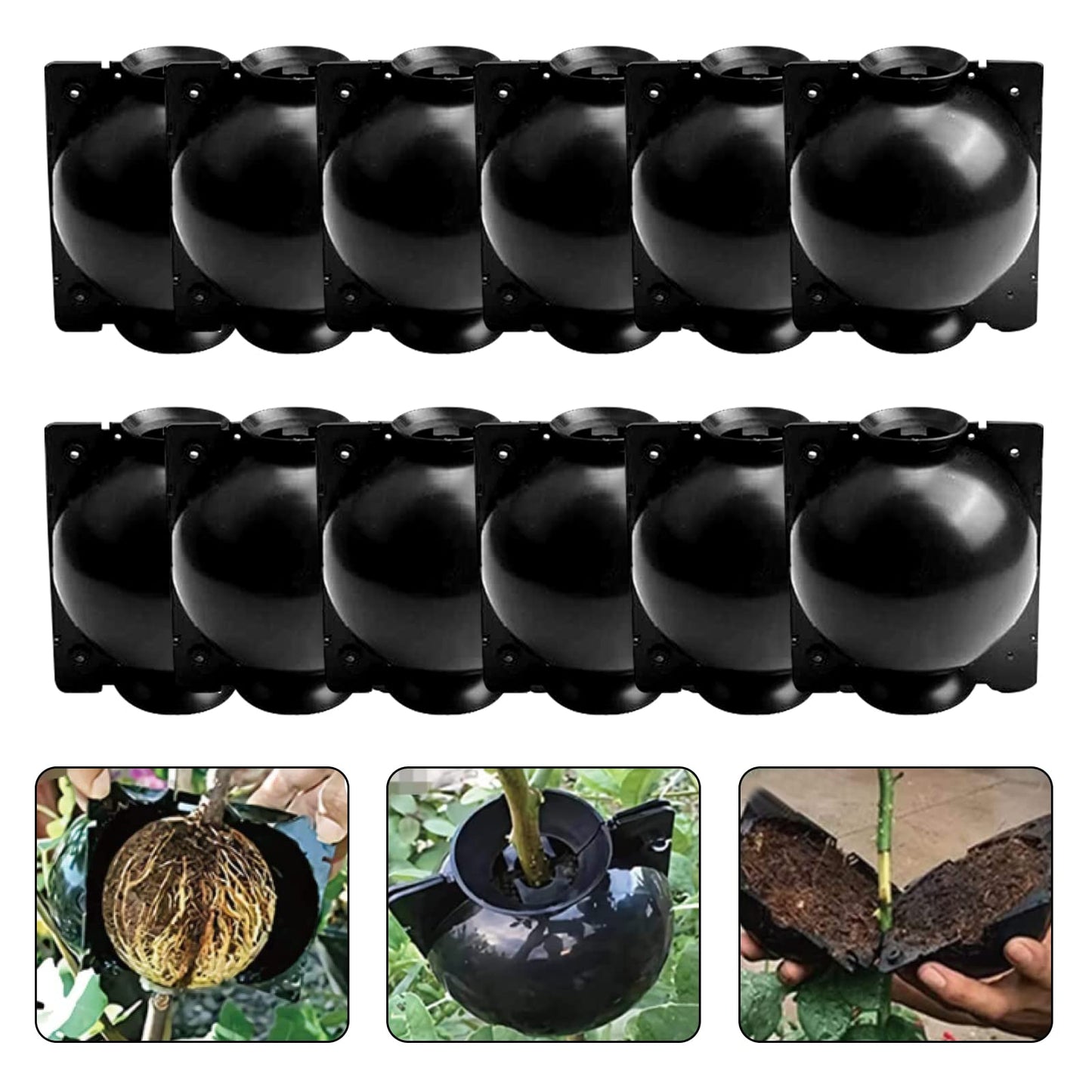 ZUCKBOX 12 PCS Plant Root Growing Box, Reusable Air Layering Propagation Kit Rooting Ball Grafting Tools for Plant Propagation (4S+4M+4L)