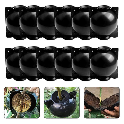 ZUCKBOX 12 PCS Plant Root Growing Box, Reusable Air Layering Propagation Kit Rooting Ball Grafting Tools for Plant Propagation (4S+4M+4L)