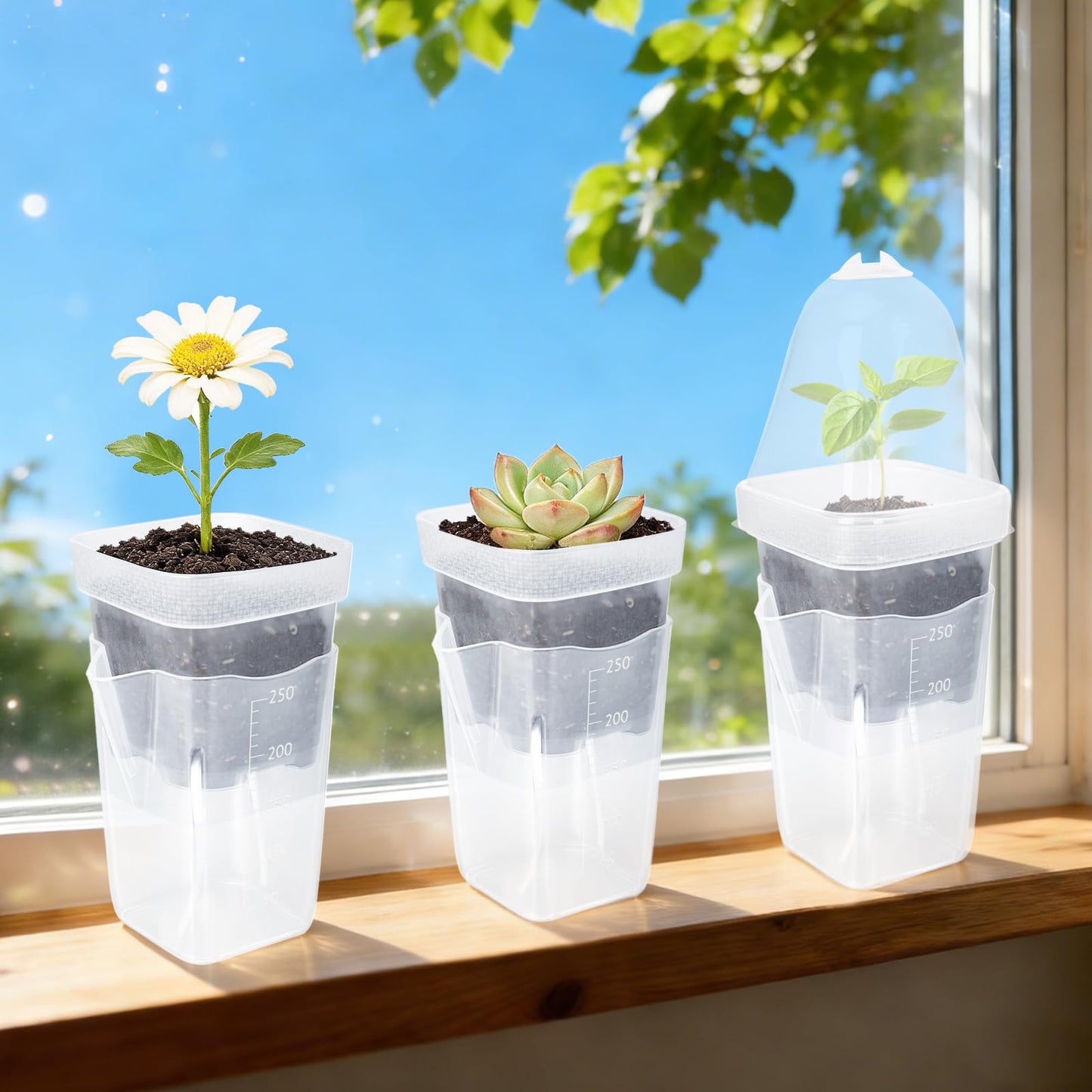 LEMEWEL 12 Pack 2.5" Self Watering Propagation Pots with Humidity Dome, Clear Plastic Seed Starter Cups, for Seedlings, Cuttings, Succulents, Herbs, Vegetables, 12 Plant Labels Included