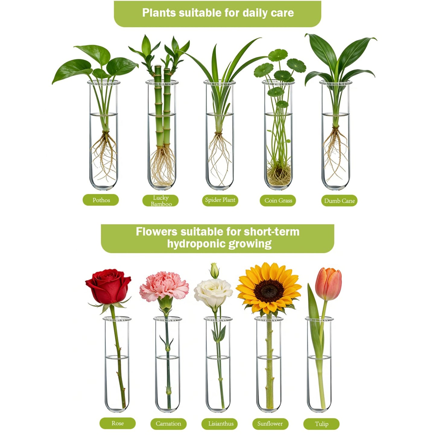 XXXFLOWER Wall Hanging Propagation Station with Wooden Stand 5 Glass Test Tubes 3 Tiers Planters Wall Terrarium for Home Office Plant Hanger Flower Vases Wall Decor Hydroponic Cuttings