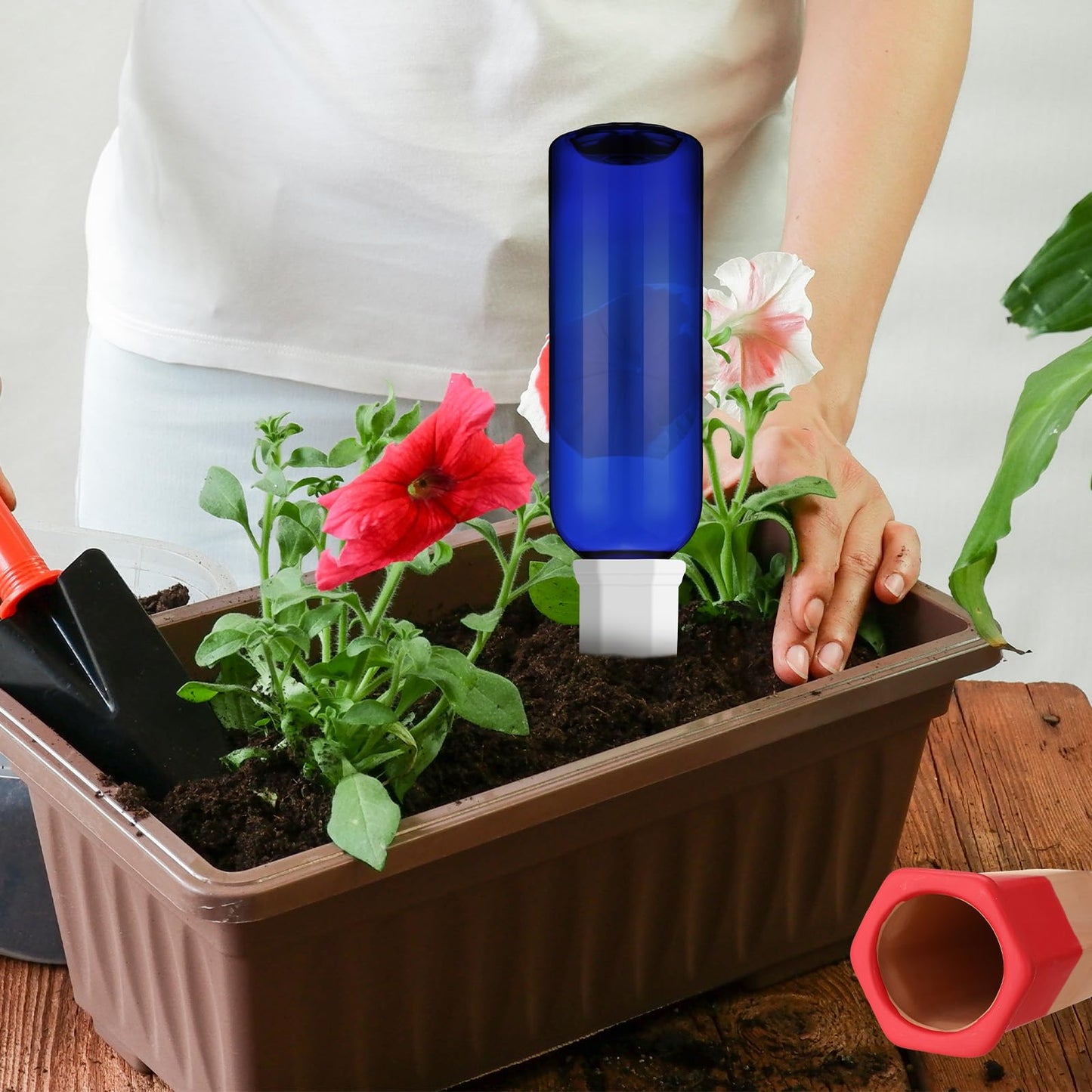 SiliFine 6 Sets Plant Watering Devices Include Terracotta Self Watering Spikes and 26 oz Plastic Bottles, Slow Release Vacation Insert Automatic Plant Waterer Device (Blue and Mixed Color)