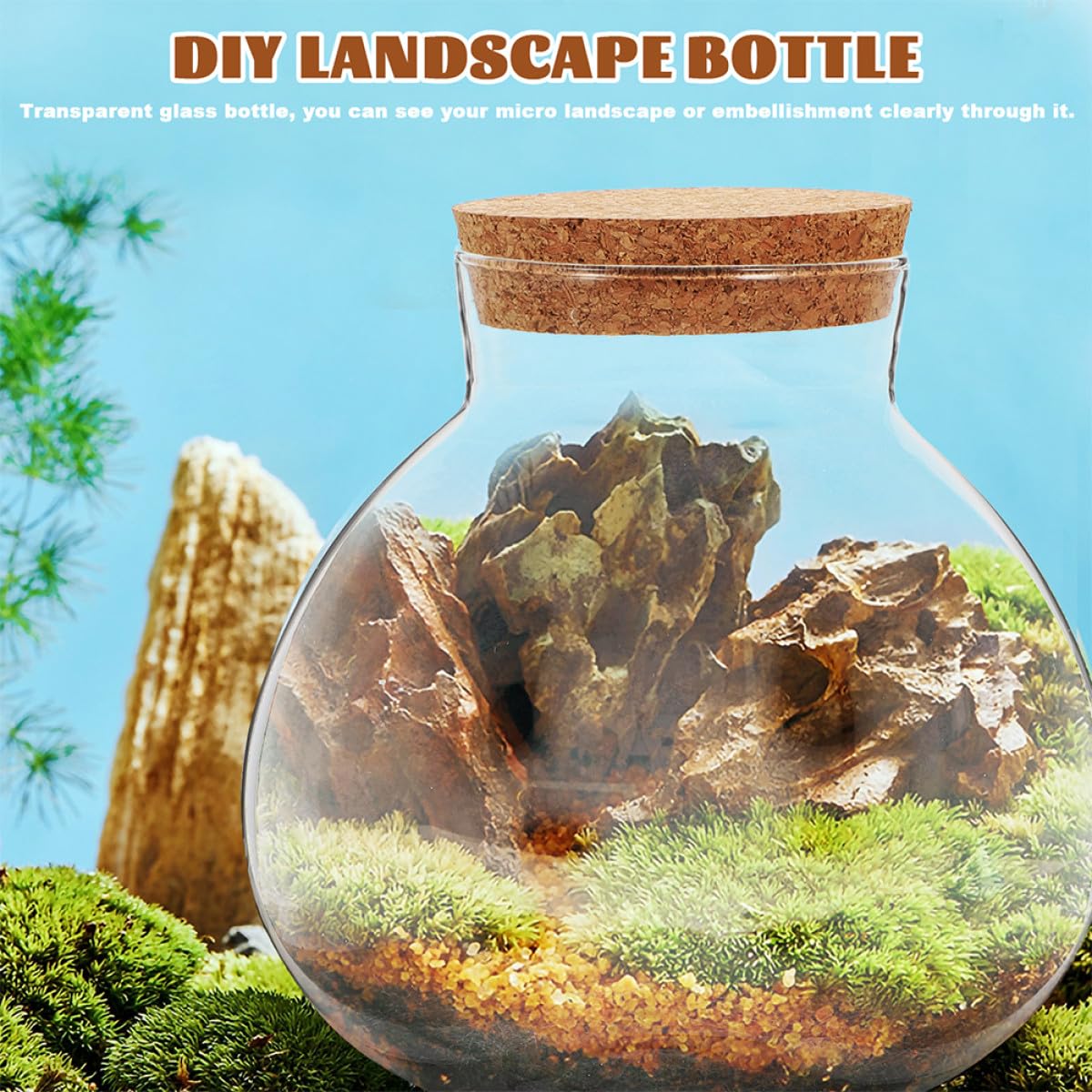 Toyvian Microlandscape Ecological Bottle Cork Stopper Round Glass Terrarium Holder for Moss Plants Decorative DIY Landscape Planter Container for Home and Office