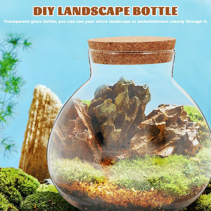 Toyvian Microlandscape Ecological Bottle Cork Stopper Round Glass Terrarium Holder for Moss Plants Decorative DIY Landscape Planter Container for Home and Office