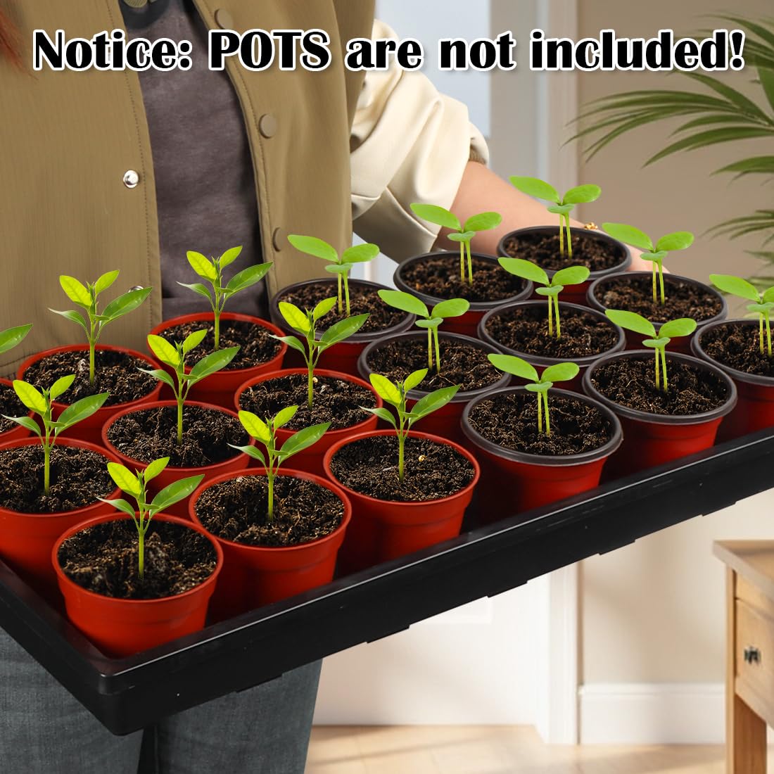 RooTrimmer 1020 Flat Seed Starter Trays 10 Pack, Plastic Nursery Pots Trays & Seeds Potting Plants Tray, Durable Carrying Seedling Starting Tray for Planting (Black)