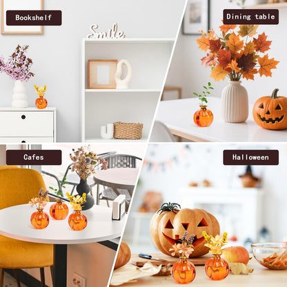XXXFLOWER Plant Terrarium Propagation Stations Unique Gifts for Women Plant Lovers 3Pcs Pumpkin-Shaped Glass Vase for Tabletop Home Office Garden Decor (Plants NOT Included)