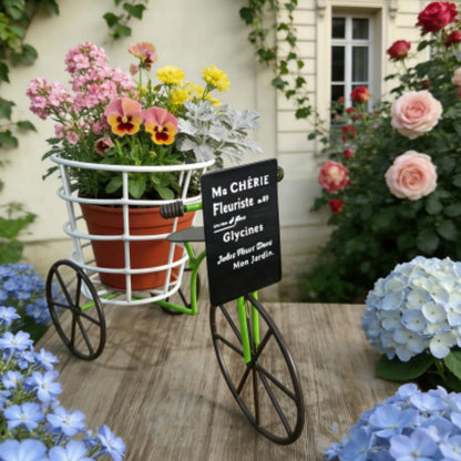 MINGLEA Beautiful Iron Tricycle Flower Pot Holder Container with Deep Basket for Living Room Indoor Outdoor Garden Decoration