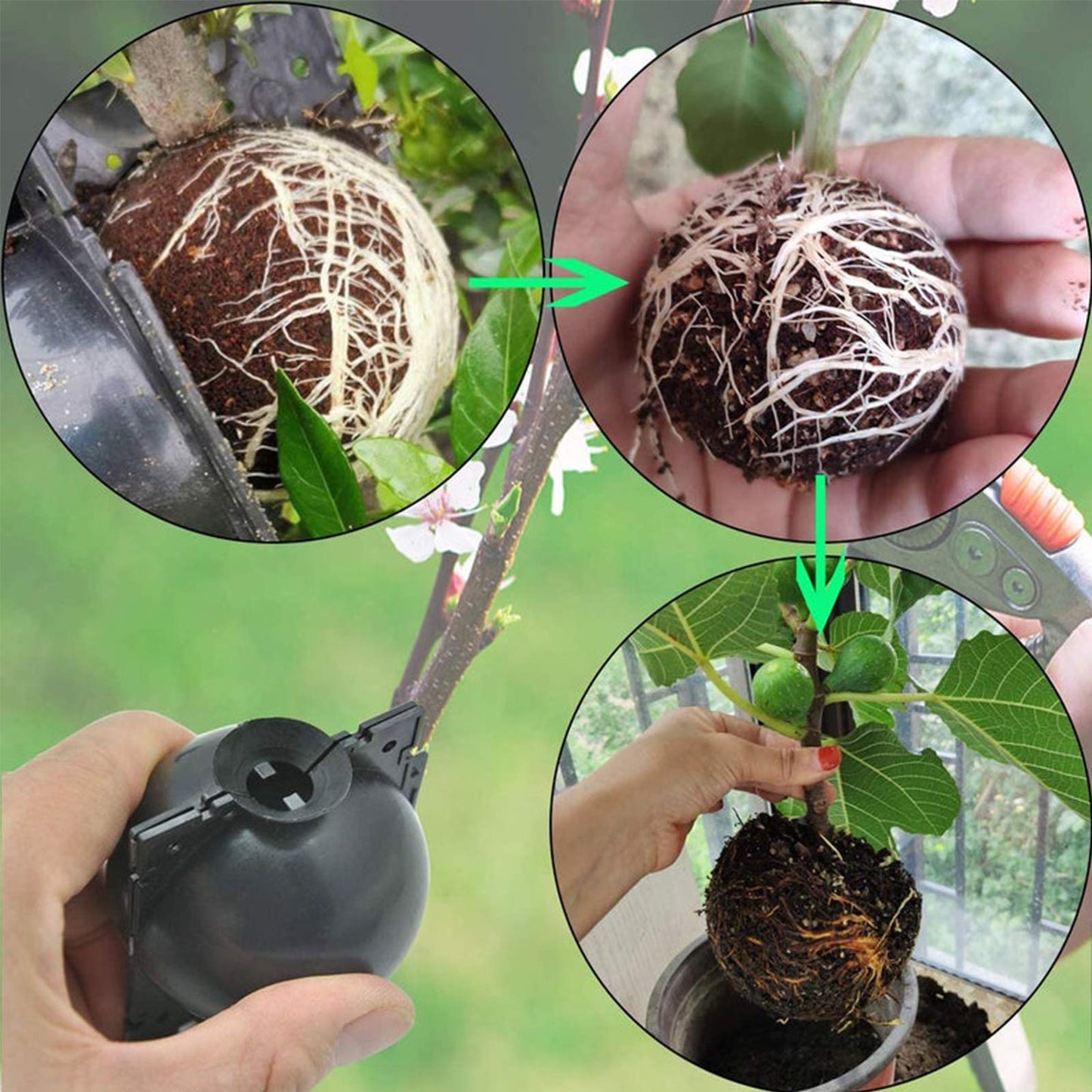 nutroeno 15 pcs Plant Root Growing Box Cloning Ball - Air Layering High Pressure Grafting Propagation Ball, Assisted Cutting Rooting for Plants Asexual Reproduction(M)