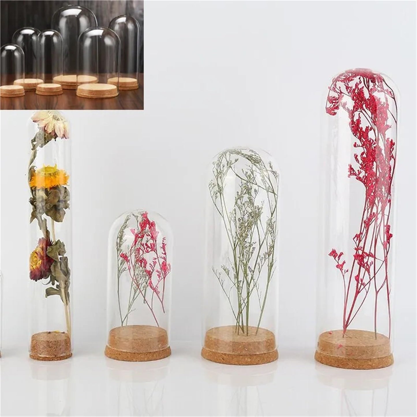 10X Da30mm Glass Bottle Terrarium Jar Cork Base Dome Dust Cover DIY Specimen Succulent Plant Micro Landscape Flower Vase Display(30x180cm)