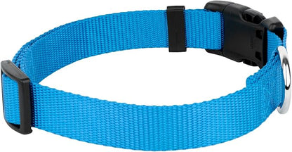 Country Brook Petz - Deluxe Nylon Dog Collar and Leash - 10+ Cool Colors (1 Inch, Extra Large, Ice Blue)