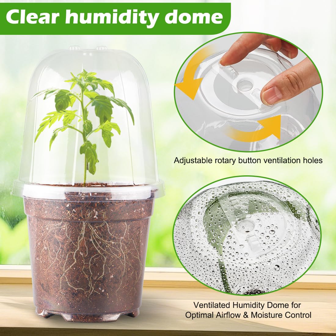 RooTrimmer 6 Inch Clear Nursery Pots with Humidity Dome, 30 Pack Reusable Seed Starter Pot with Drainage Holes, Transparent Plastic Plant Seedling Pots for Propagation Indoor Plants Outdoor Gardening