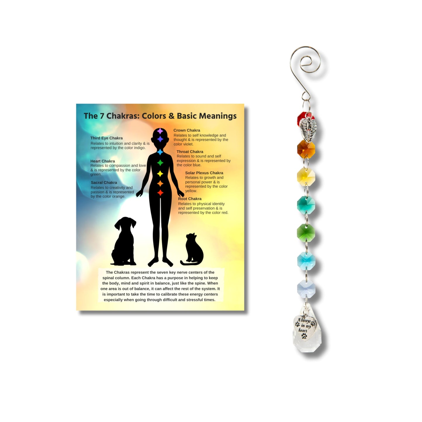 Pet Perennials Pet Memorial Suncatcher – Crystal Rainbow Prism with Angel Wings & Paw Print Charm – Cat and Dog Loss Gifts for Window Display – Memorial Ornament for Remembrance