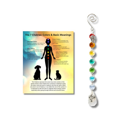 Pet Perennials Pet Memorial Suncatcher – Crystal Rainbow Prism with Angel Wings & Paw Print Charm – Cat and Dog Loss Gifts for Window Display – Memorial Ornament for Remembrance