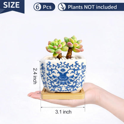 celamos Succulent Pots 6 Pack, Small Flower Pots with Drainage Bamboo Tray, Succulent Pots for Indoor Plants, Cactus Pots and Planters, Decorative Small Pots for Home Office
