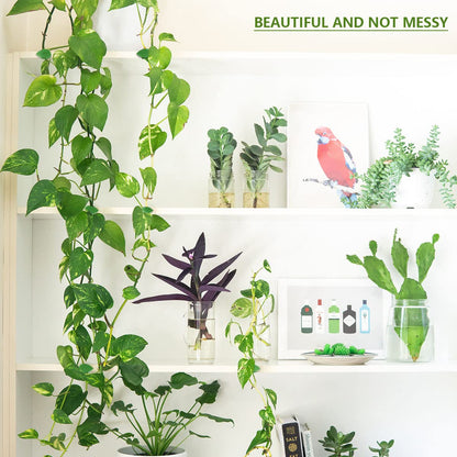 100 PCS Plant Climbing Wall Fixture Clips Self-Adhesive Hook Vines Traction Clips Plant Fixer Invisible Wall Vines Fixing Clips Garden Plants Green Leaf Simulation for Climbing Plants Clips Fixing