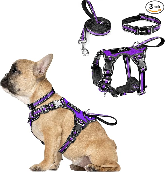 WINSEE Pet Harness Collar and Leash Set, All-in-one Reflective Dog Harness No Pull with Adjustable Buckles for Puppies, Small, Medium, Large, and Extra-Large Dogs (Small, Purple)