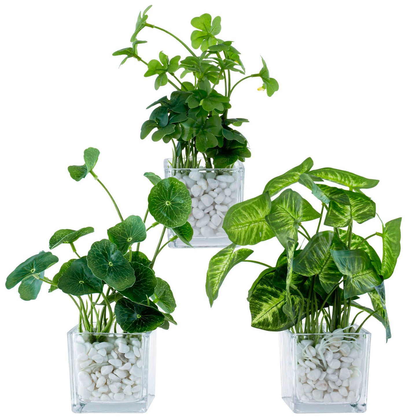 MyGift Artificial Clover and Taro Plants in Clear Glass Vase with Decorative White Stones, Set of 3