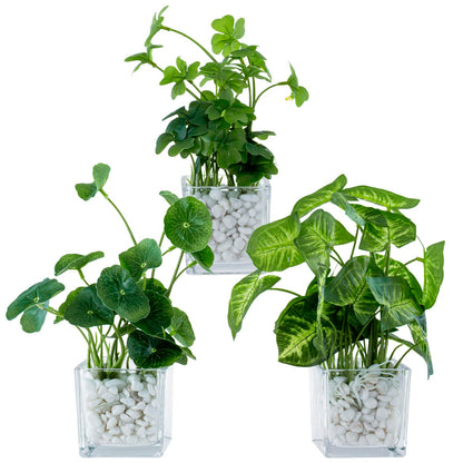 MyGift Artificial Clover and Taro Plants in Clear Glass Vase with Decorative White Stones, Set of 3