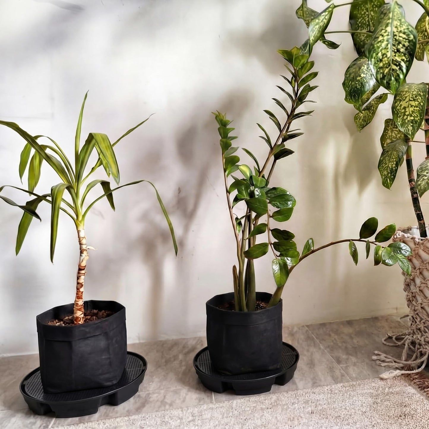 Geelin 6 Pcs Self-Watering Fabric Pot Base Auto-Irrigation System Plant Saucer for 5 Gallon Fabric Pots Auto Watering Plant Water Tray Self Watering System for Indoor Greenhouses Grow Tents Gardens