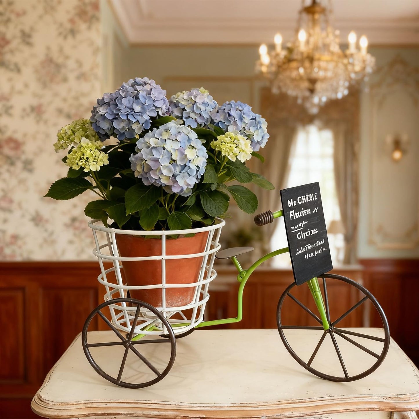 JAMIEKA Beautiful Iron Tricycle Flower Pot Holder Container with Deep Basket for Living Room Indoor Outdoor Garden Decoration