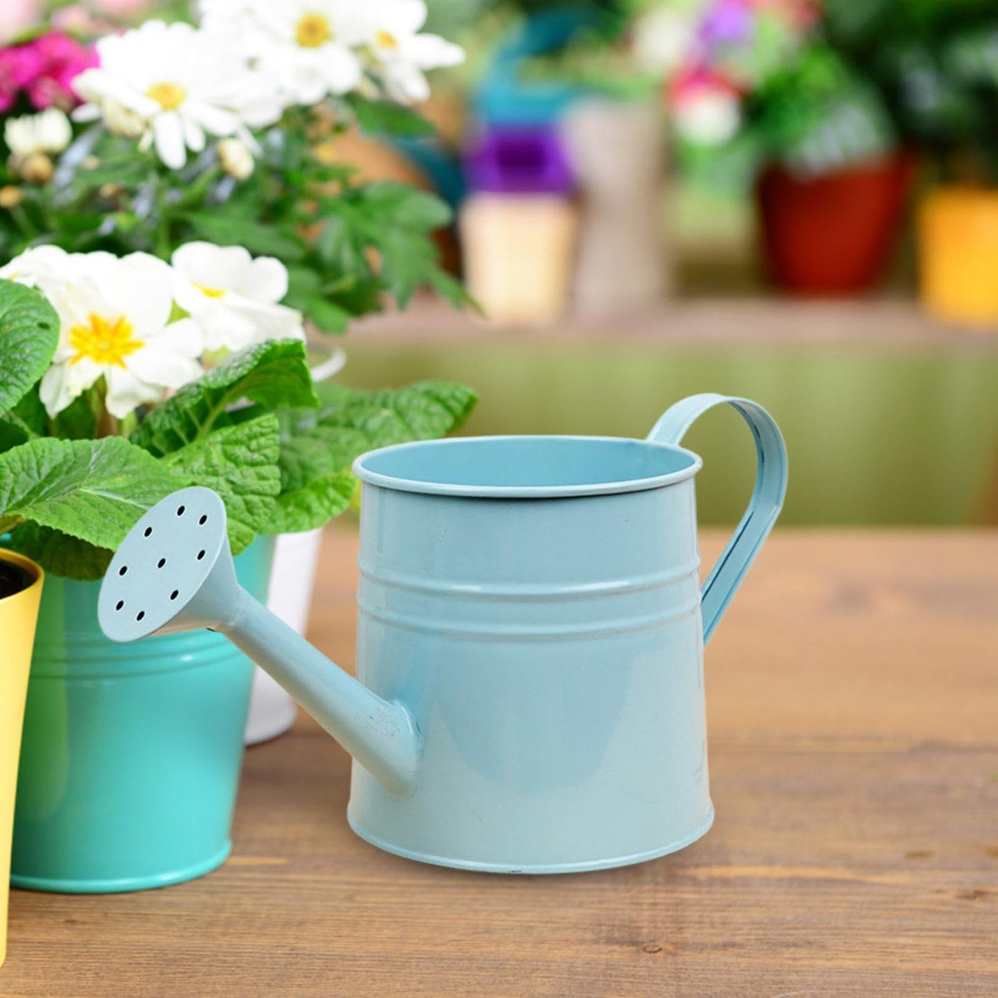Metal Watering Can with Sprinkler,1L,0.26 Gallon Galvanized Tinplate Small Watering Can for Indoor Outdoor Plants, Garden Tool for Flowers Succulents and Balcony (Sky Blue)