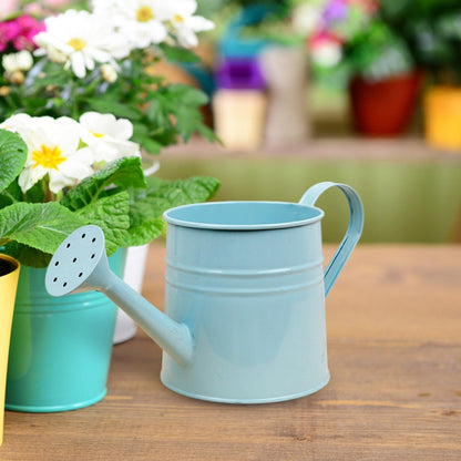 Metal Watering Can with Sprinkler,1L,0.26 Gallon Galvanized Tinplate Small Watering Can for Indoor Outdoor Plants, Garden Tool for Flowers Succulents and Balcony (Sky Blue)