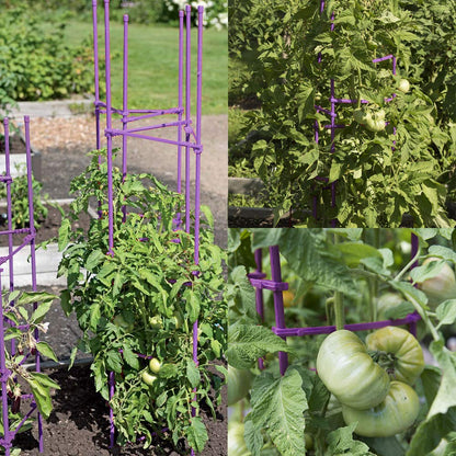 NO Splicing - 5ft Tall Tomato Cage 6-Pack Large Tomato Stakes Garden Plant Stakes Climbing Suports, 40 Clips and Plant Ties Include, Purple
