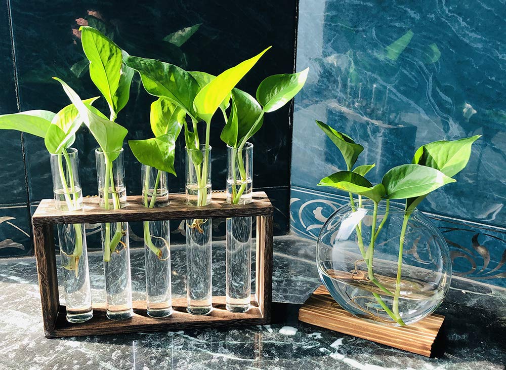 PACDONA 5 Tube Wooden Plant Propagation Station, Tabletop Glass Terrarium Holder for Cuttings Hydroponics, Home Office Desk Decor Gift for Women Mom Plant Lovers, Brown