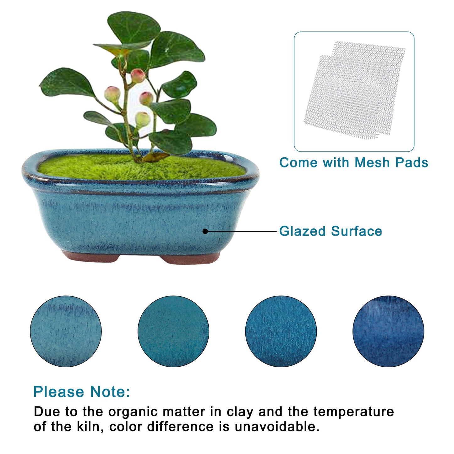 Bonsai Planter Succulent Mini Glazed Pots Value Set of 4, with 4 Soft Mesh Drainage Screens