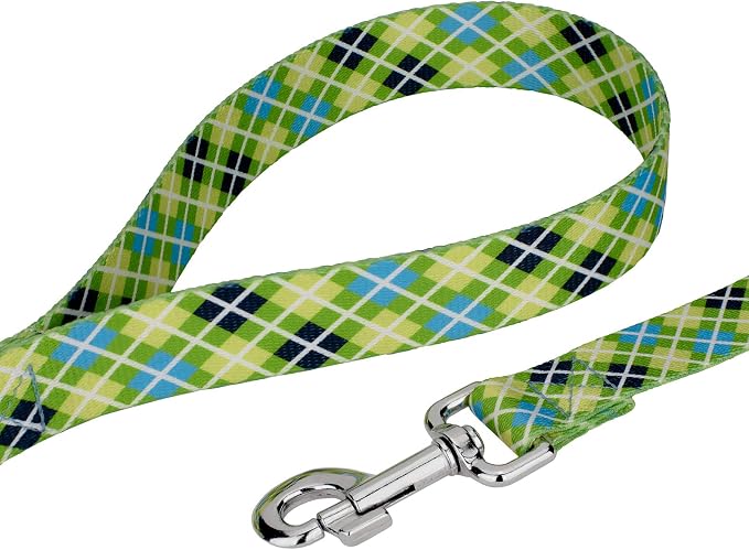 Country Brook Petz - Margarita Argyle Everyday Collar and Leash - Plaid and Argyle Collection Featuring Charming Designs (1/2 Inch, 2XS)