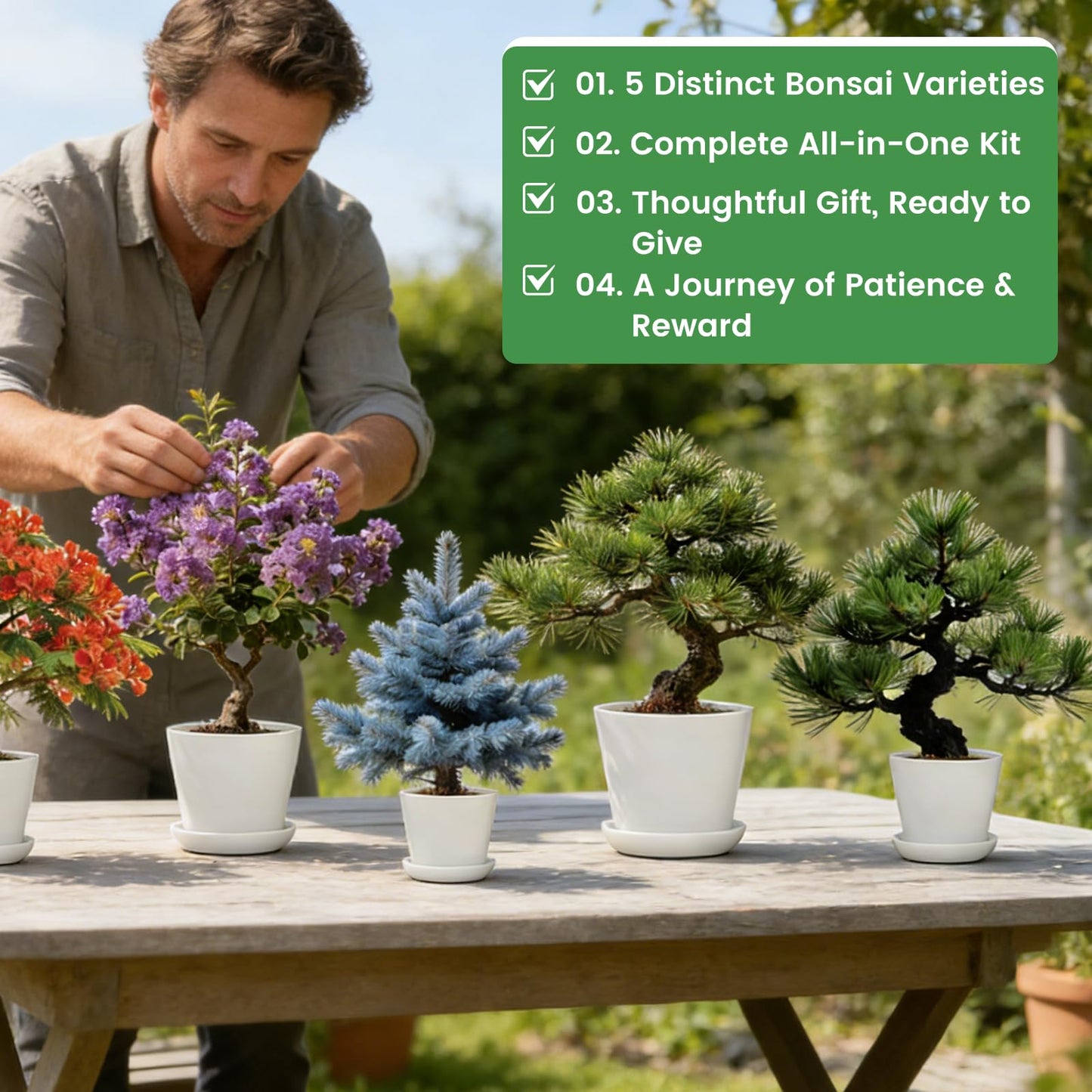 Bonsai Tree Kit for Beginners – 5 Bonsai Starter Kit for Beginner, Indoor for Growing Bonsai Plants with Tools & Planters – DIY Craft Gardening Gifts, White Elephant Gifts for Adults Men Women