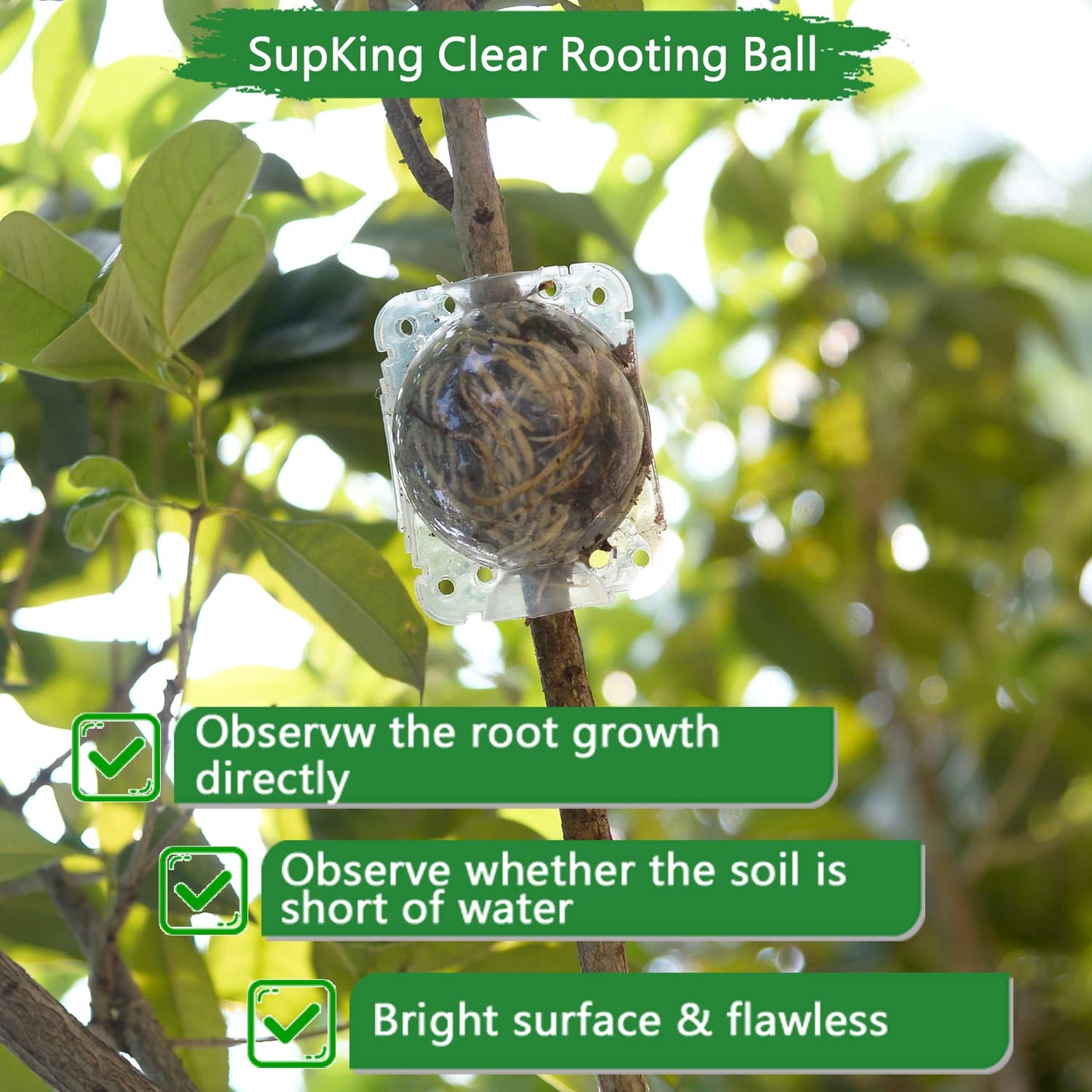Supking 8 Pcs Air Layering Pods Plant Rooting Grow Propagation Ball Small Transparent Assisted Cutting Rooting Grafting Device Root Box for Plants