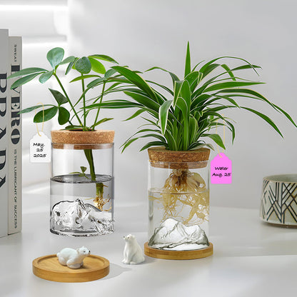 Plant Propagation Stations, 2Pcs Desktop Plants Terrarium Glass Hydroponic Vases with Bamboo Saucer, Water Plants Jars, Mountain-Shaped Bottom, Ideal Gifts for Women Mon Plant Lovers
