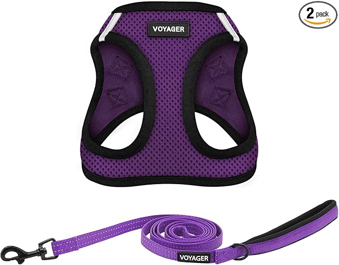 Best Pet Supplies Voyager Step-in Air All Weather Mesh Harness and Reflective Dog 5 ft Leash Combo with Neoprene Handle, for Small, Medium and Large Breed Puppies - Purple/Black Trim, X-Large