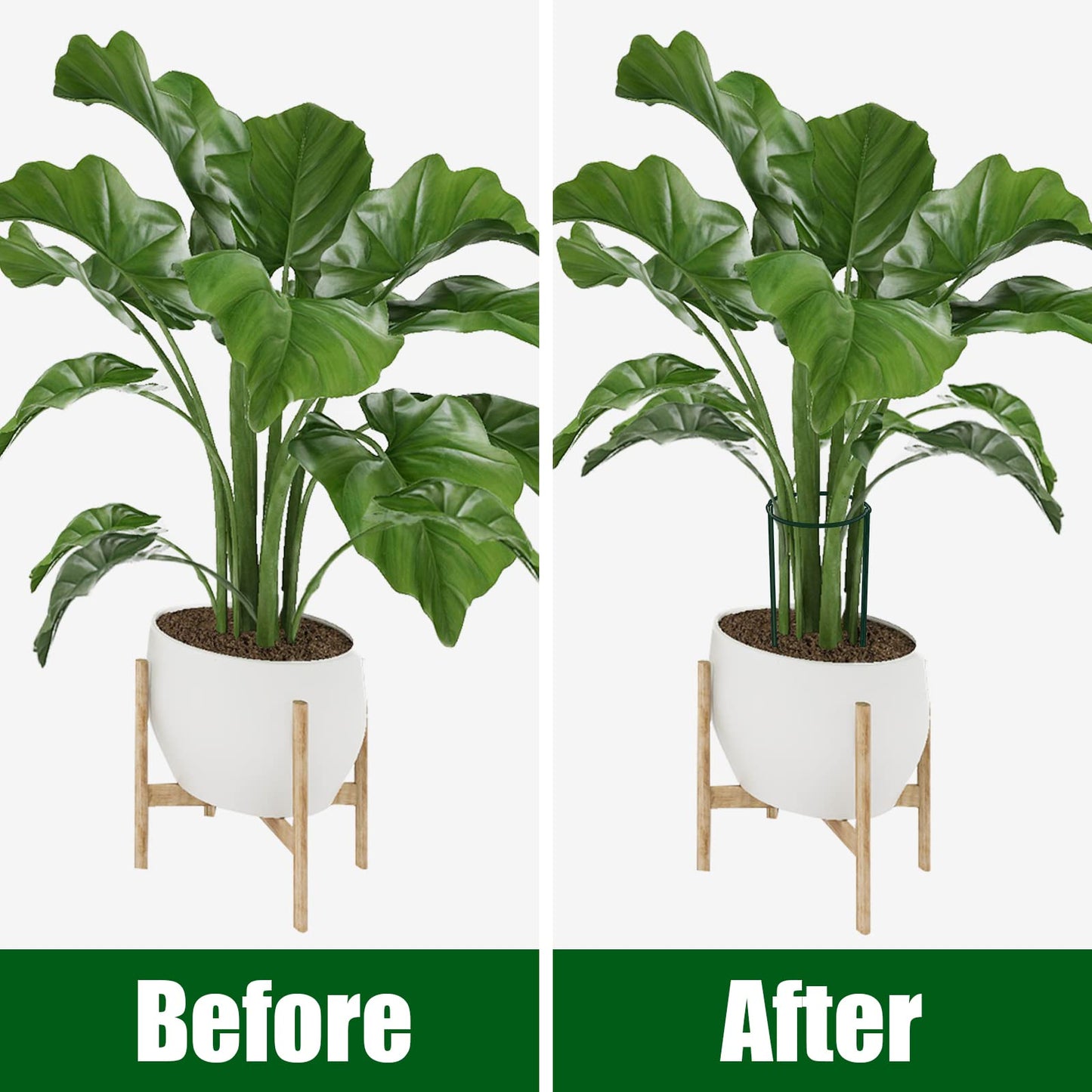 FEED GARDEN 6 Pack Plant Support Stakes, Peony Cages and Supports, Metal Garden Plant Stake(10" Wide x 16" High) Green Half Round Plant Support Rings for Outdoor Indoor Plants, Tomato, Hydrangea