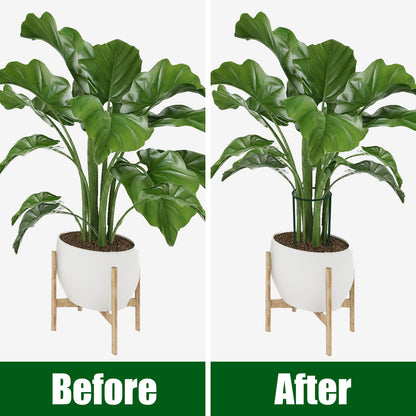 FEED GARDEN 6 Pack Plant Support Stakes, Peony Cages and Supports, Metal Garden Plant Stake(10" Wide x 16" High) Green Half Round Plant Support Rings for Outdoor Indoor Plants, Tomato, Hydrangea