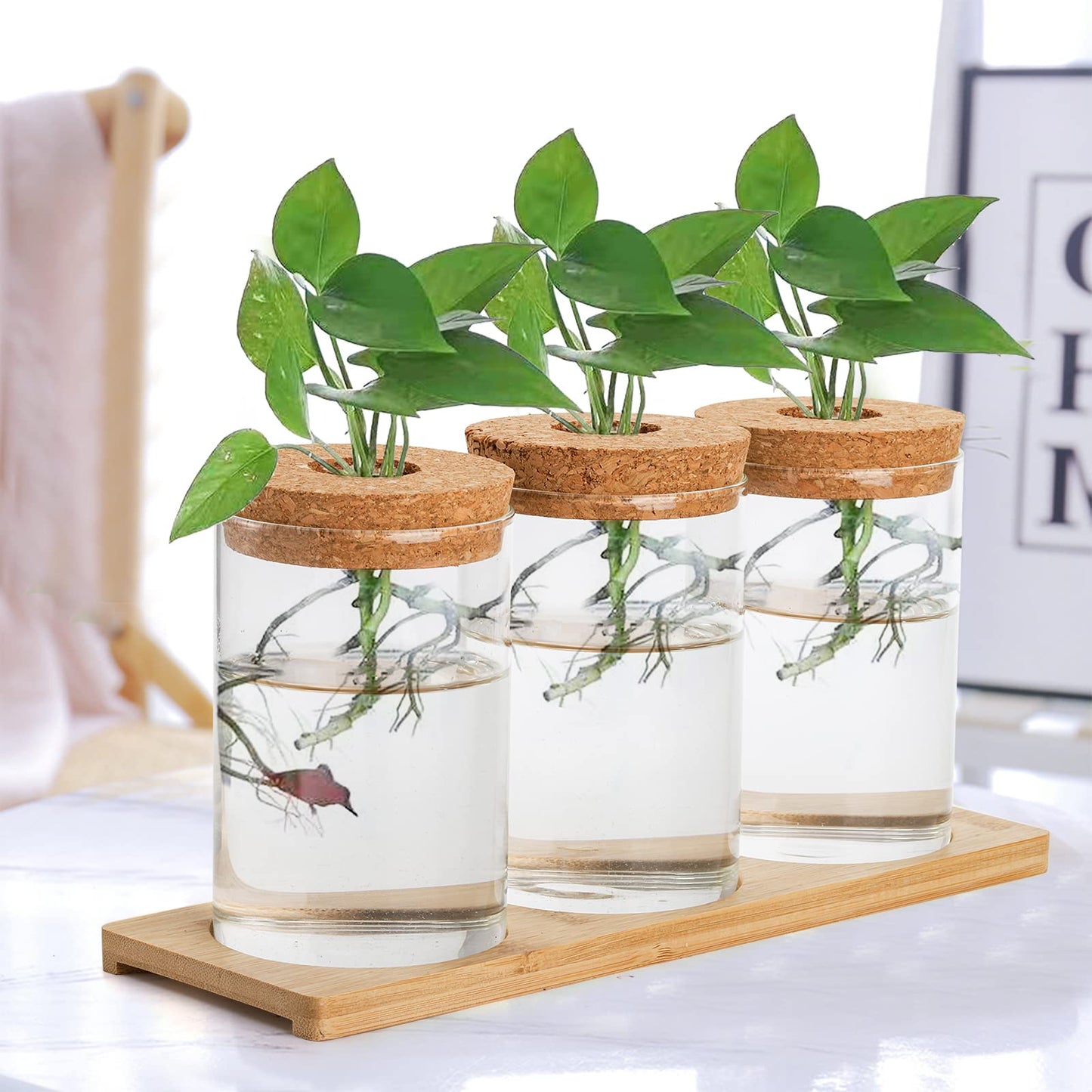 Lawei 3 Pcs Plant Terrarium Propagation Stations, Tabletop Glass Water Planting Glass Vase with Wooden Tray, Clear Jars Containers for Grow Hydroponic Plants Home Office Decoration